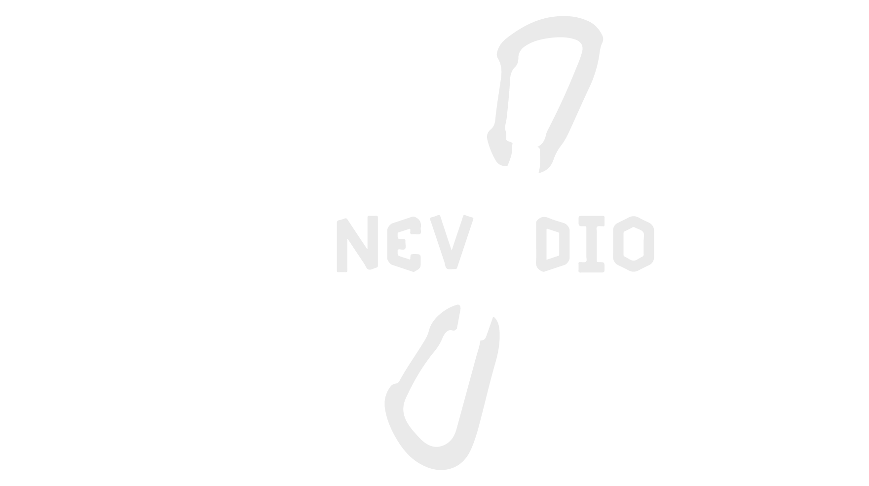 Canyon Nevidio Explorers Logo